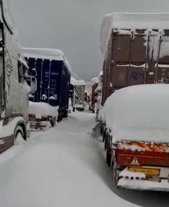 گمرک در مورد برفگیر شدن کامیون‌داران در مرز باشماق: آنها در نزدیکی گمرک تحصن کرده بودند؛ این محوطه تحت کنترل ما نیست