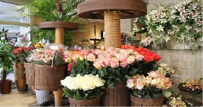 رئیس اتحادیه گل‌فروشان مشهد: در آستانه روز مادر با افزایش ۴۰۰ درصدی قیمت گل مواجه خواهیم بود