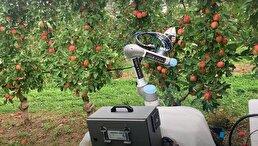 ویدیو / ربات یابنده سیب های رسیده و برداشت کننده خودکار آنها