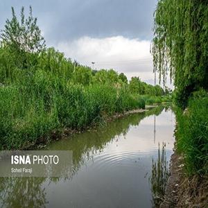 تصاویر: جنگلی در میان رودخانه «شهرچای»