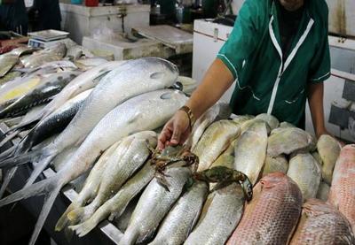 قیمت انواع ماهی در بازار؛ ۹ بهمن ۱۴۰۰