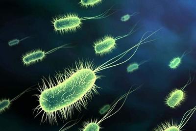 ابتلای قطعی ۶۲ نفر به بیماری وبا در کشور