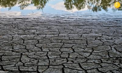 (تصاویر) بدترین خشکسالی اروپا