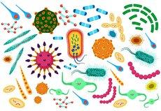 مقاومت میکروبی یکی از ۱۰ تهدید اصلی سلامت بشر است