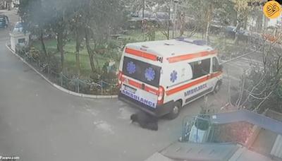 (ویدئو) آمبولانس یک نفر را زیر گرفت!