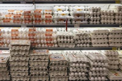افزایش قیمت تخم مرغ ادامه دارد؛ ۱۶ آذر ۱۴۰۱