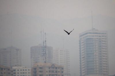 هوای تهران آلوده‌تر شد/ گروه‌های حساس مراقب باشند