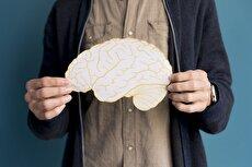 کشف راهی جدید برای افزایش یادگیری مغز