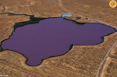 (ویدئو) راز دریاچه رنگارنگ عراق