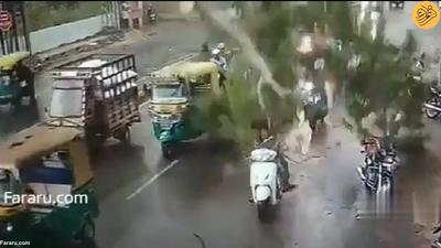 (ویدئو) سقوط ناگهانی درخت روی سر سه موتورسوار