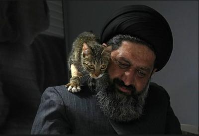 (عکس) گربه زخمی بر شانه روحانی ایرانی حامی حیوانات