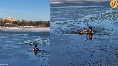 (ویدئو) نجات یک سگ سقوط کرده در دریاچه یخ‌زده