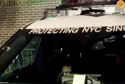 (ویدئو) حضور یک موش در ماشین پلیس سوژه شد!