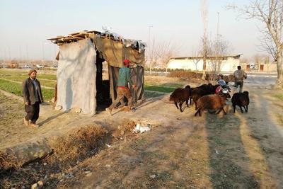 روستایی 100 ساله در دل یافت‌آباد | محله‌ای متفاوت و دیدنی حوالی میدان آزادی
