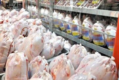 ماجرای عجیب مرغ ‌هایی که از سردخانه پر کشیدند | ۲۳ تن مرغ آلوده وارداتی چگونه سر از تهران و شهرهای دیگر درآورد؟