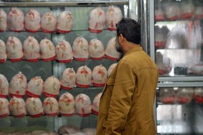 ببینید | کاهش قیمت مرغ در بازار عمده‌فروشی تهران | مرغ ۵۱ هزار تومان شد