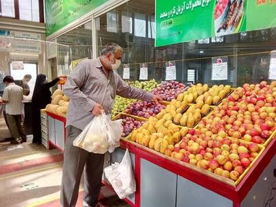 قیمت میوه‌های تابستانی و انواع صیفی در میادین | جدیدترین قیمت گیلاس، خیار، زردآلو و طالبی