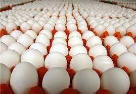 ببینید | بهت و ناباوری کارگران ؛ صدها تخم‌مرغ به دست یک کارگر شکست!