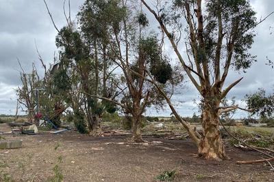 تخریب خانه‌ها در پی وقوع طوفان در استرالیا