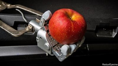 نگذارید روبات‌ها میوه چین شوند!