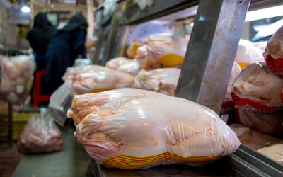قیمت جدید مرغ را ببینید/ فروش مرغ عمده زیر نرخ مصوب