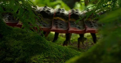 هزارپای غول‌پیکری که نزدیک به ۳ متر طول دارد!/ فیلم