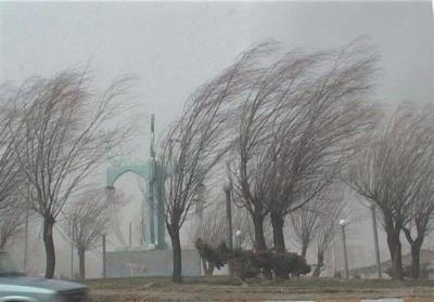 وزش باد شدید و خیزش گرد و خاک در تهران/ افزایش دما از هفته آینده