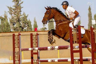 عکس/ مسابقات سوارکاری پرش با اسب در فارس