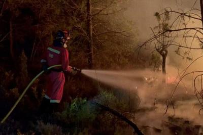 تخلیه ۱۵۰۰ نفر به دلیل آتش سوزی وسیع در جنگل های اسپانیا
