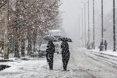 بارش سنگین برف در نقاط مختلف تهران+ فیلم