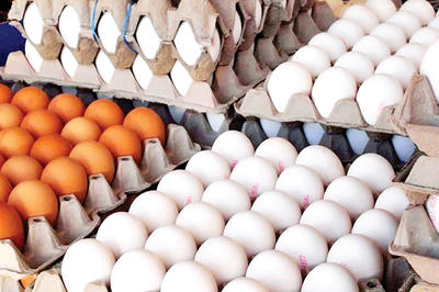 افزایش قیمت عجیب تخم مرغ؛ حذف آخرین ماده غذایی از سفره مردم
