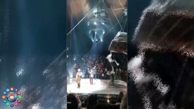 تصاویر هولناک از سقوط اجراکننده سیرک در مقابل چشمان تماشاچیان / فیلم