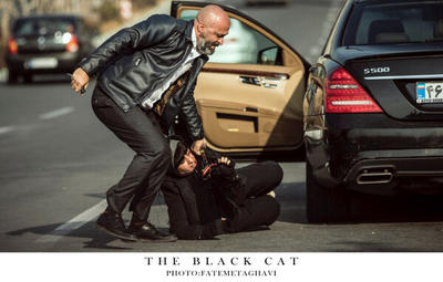 «گربه سیاه» در سینماهای اقلیم کردستان عراق اکران می‌شود