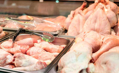 ارزان شدن عجیب قیمت مرغ در بازار