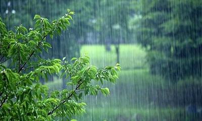 تصاویر دیدنی از بارش باران شدید پاییزی در رامسر + فیلم