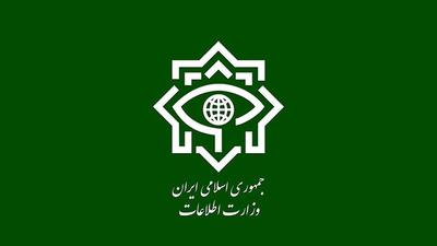 وزارت اطلاعات: عامل آتش زدن تندیس سردار سلیمانی دستگیر شد 