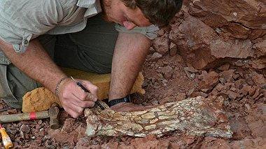 کشف فسیل «اژد‌های مرگ» مربوط به ۸۶ میلیون سال پیش