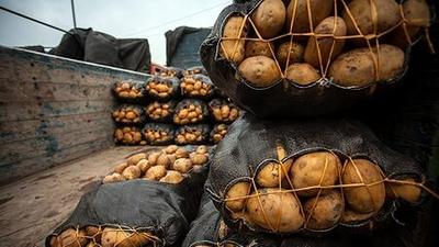 اخذ دستور صادرات ۲۵۰ هزارتن سیب زمینی از انبارهای بهار و کبودرآهنگ