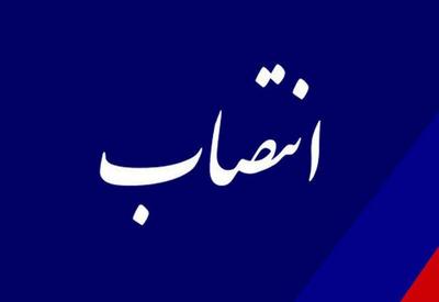 «علیرضا رضوانپور» مدیرکل نظارت بر ذیحسابی‌ها شد