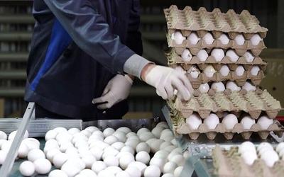 میانگین قیمت تخم‌مرغ در ۶ استان کشور