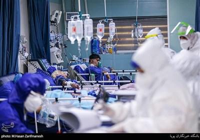 آمار کرونا در ایران| فوت ۲۳ نفر در شبانه‌روز گذشته