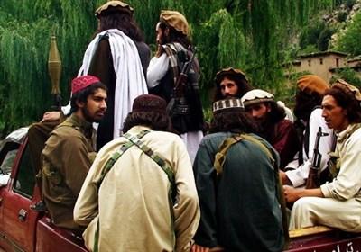 اسلام‌آباد: دو فرمانده تحریک طالبان پاکستان تحویل افغانستان شده‌اند