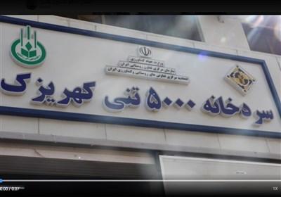 سردخانه و کارخانه بسته بندی محصولات کشاورزی در تهران افتتاح شد