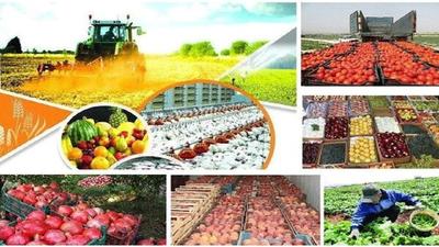 صادرات محصولات کشاورزی و غذایی ۳.۹ میلیارد دلار ارزآوری داشته است