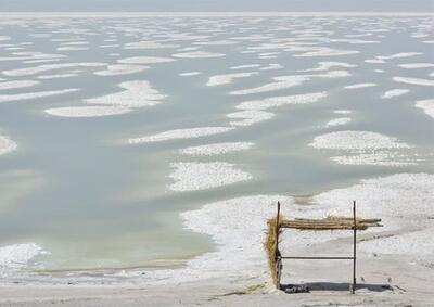 کارشناس زیست‌بوم‌های تالابی: دریاچه ارومیه به جزیره حرارتی تبدیل شده / اگر ۴۰ درصد مصارف آب کشاورزی را کاهش دهیم، می‌توانیم به تامین حقابه دریاچه نزدیک شویم