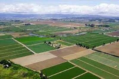 رفع تداخلات ۹.۵ میلیون هکتار از اراضی کشاورزی در کشور