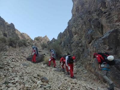 ببینید | نجات چوپان گرفتار شده در ارتفاعات کوه نیر لوداب