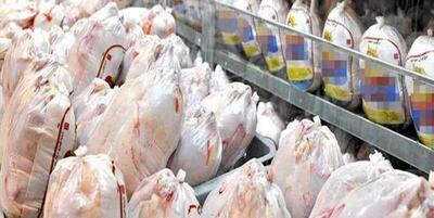 خبرگزاری فارس - تولید بیش از ۴۱۰۰ تن گوشت مرغ در خاش