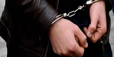 خبرگزاری فارس - دستگیری ۹ نفر از اتباع غیرمجاز در «مهران»