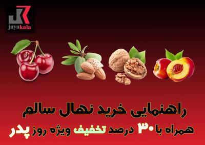 راهنمایی خرید نهال سالم همراه با 30 درصد تخفیف ویژه روز پدر